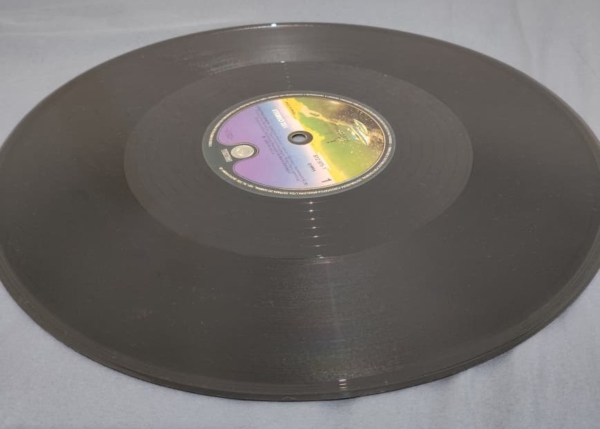DISCO DE VINIL - METALLICA - ESPECIAL EDITION - Imagem 10
