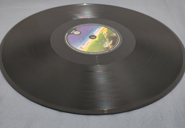 DISCO DE VINIL - METALLICA - ESPECIAL EDITION - Imagem 7